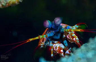 Poblacion District 2 sanctuary